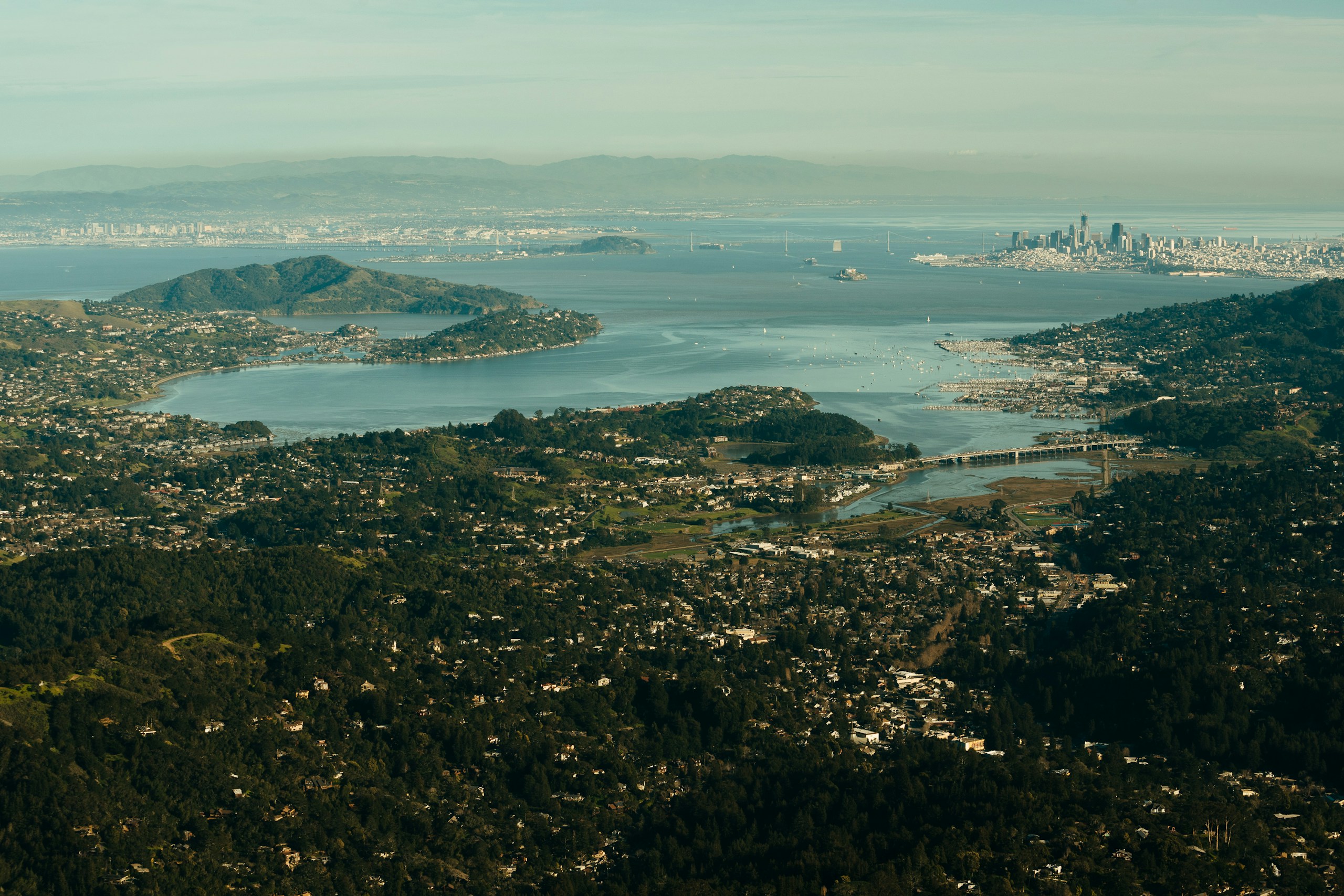 aerial view if trees near body of water